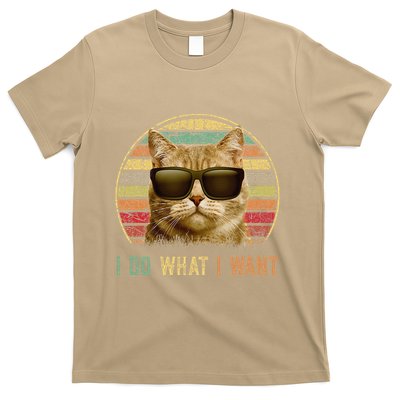 Retro 70s 80s 90s Meowy Cat I Do What I Want Funny Cat T-Shirt