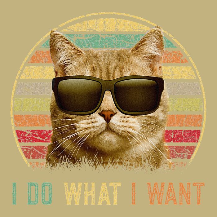 Retro 70s 80s 90s Meowy Cat I Do What I Want Funny Cat Tall Long Sleeve T-Shirt