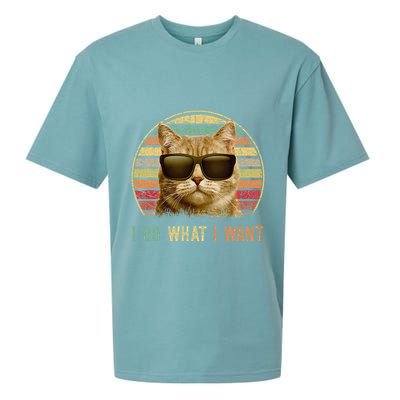 Retro 70s 80s 90s Meowy Cat I Do What I Want Funny Cat Sueded Cloud Jersey T-Shirt
