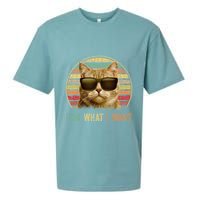 Retro 70s 80s 90s Meowy Cat I Do What I Want Funny Cat Sueded Cloud Jersey T-Shirt