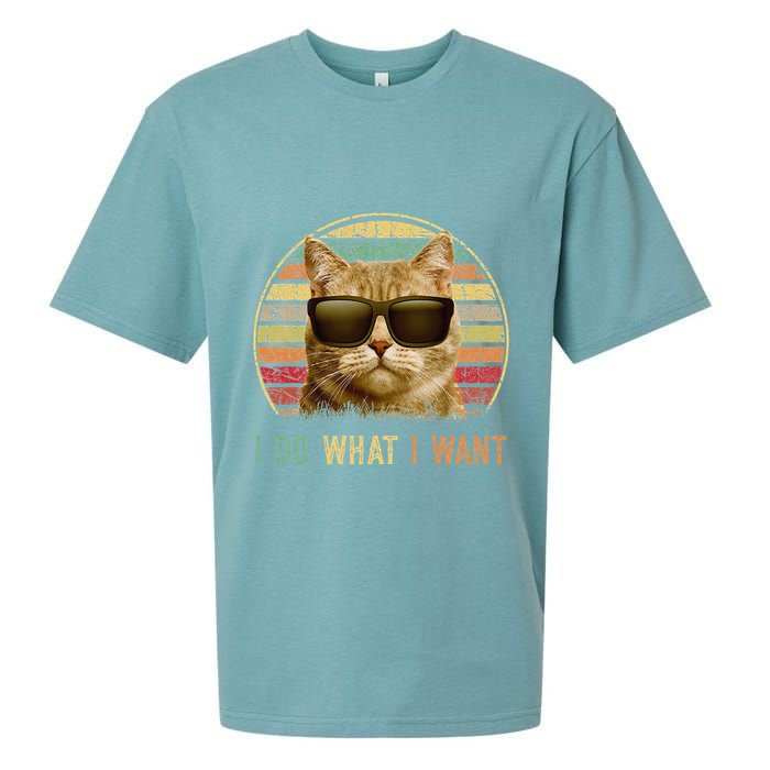 Retro 70s 80s 90s Meowy Cat I Do What I Want Funny Cat Sueded Cloud Jersey T-Shirt