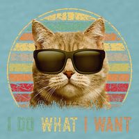 Retro 70s 80s 90s Meowy Cat I Do What I Want Funny Cat Sueded Cloud Jersey T-Shirt