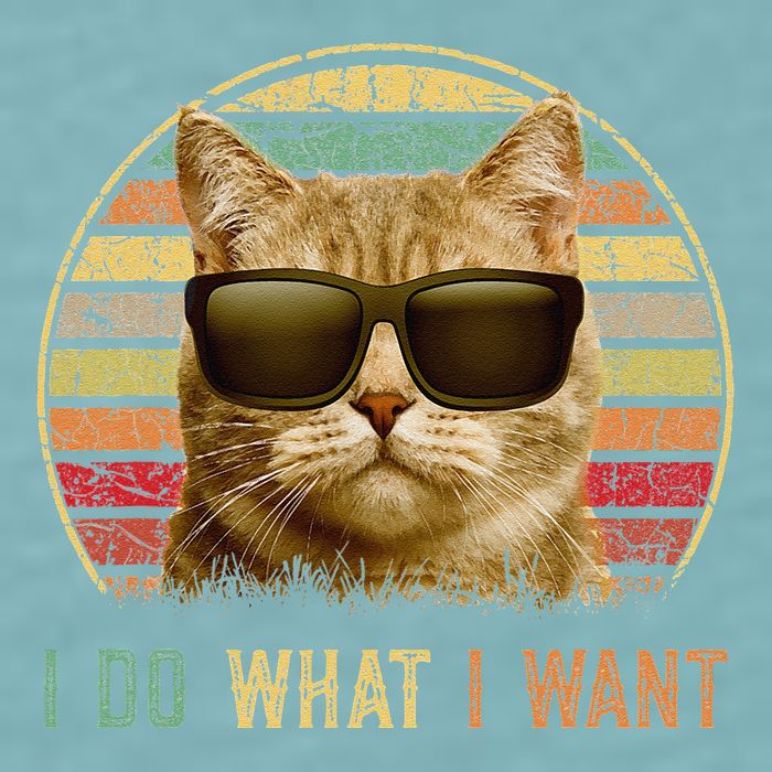 Retro 70s 80s 90s Meowy Cat I Do What I Want Funny Cat Sueded Cloud Jersey T-Shirt