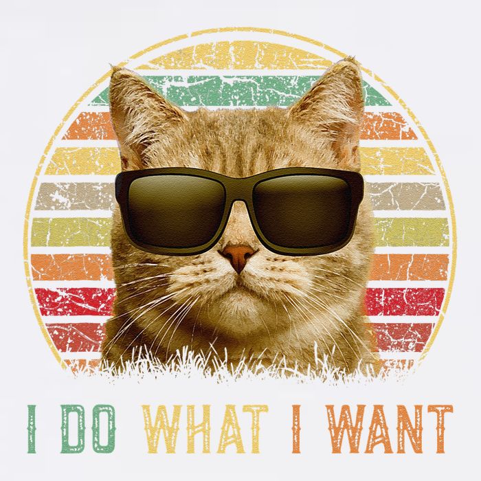 Retro 70s 80s 90s Meowy Cat I Do What I Want Funny Cat Garment-Dyed Sweatshirt