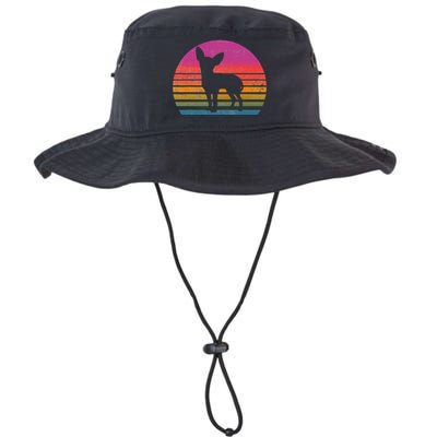 Retro 80's Chihuahua, Chihuahua Lover, Chihuahua Mom Legacy Cool Fit Booney Bucket Hat