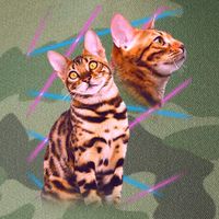 Retro 80s Eighties Lasers Double Exsposure Cat Legacy Tie Dye Trucker Hat