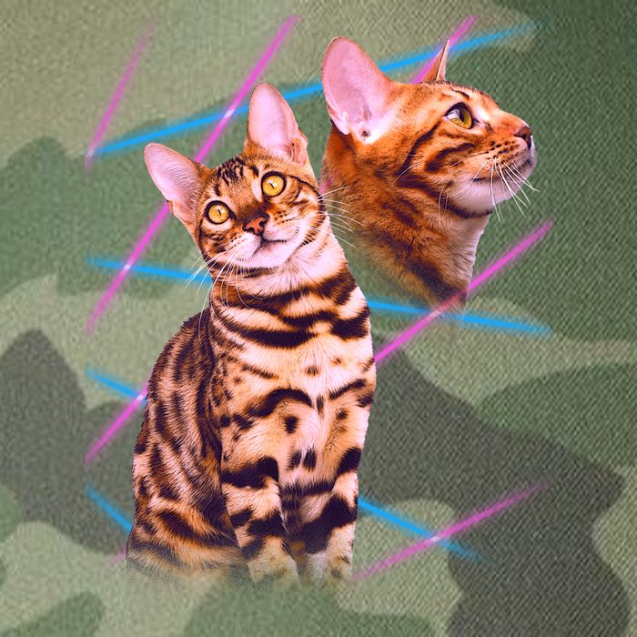 Retro 80s Eighties Lasers Double Exsposure Cat Legacy Tie Dye Trucker Hat