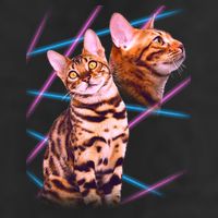 Retro 80s Eighties Lasers Double Exsposure Cat 7 Panel Mesh Trucker Snapback Hat