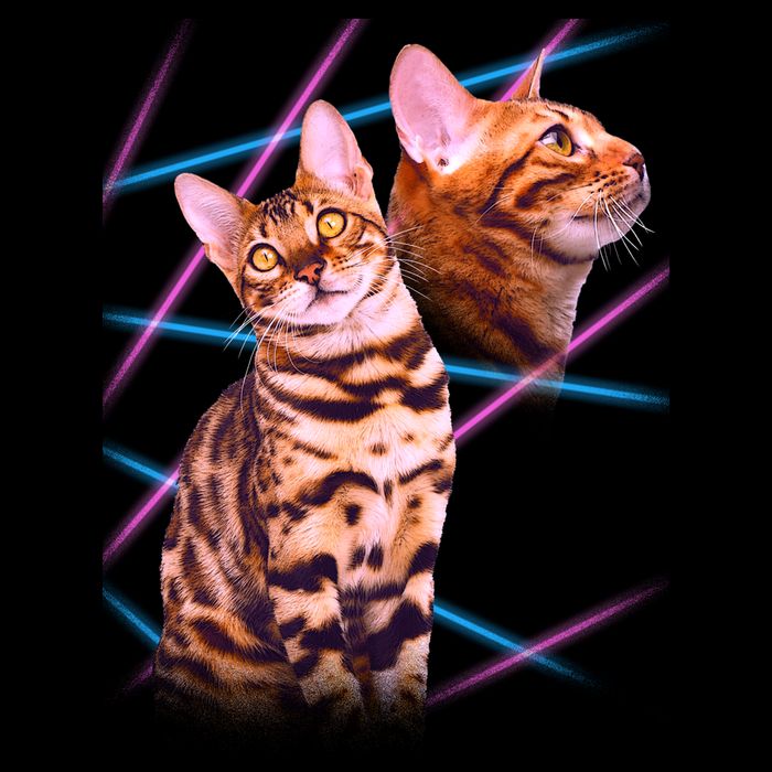 Retro 80s Eighties Lasers Double Exsposure Cat Bag