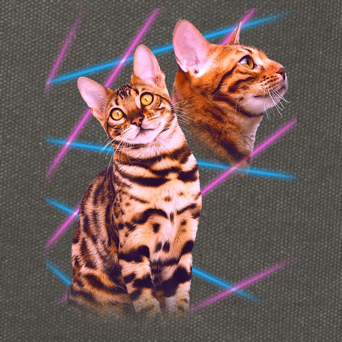 Retro 80s Eighties Lasers Double Exsposure Cat Cotton Canvas Backpack