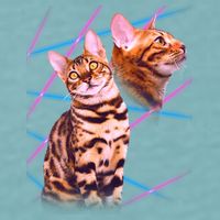 Retro 80s Eighties Lasers Double Exsposure Cat Sueded Cloud Jersey T-Shirt