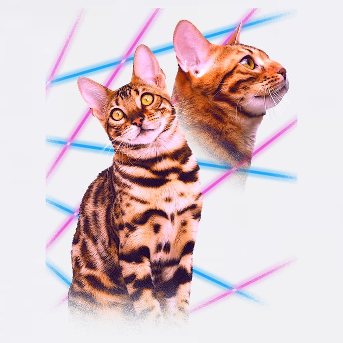 Retro 80s Eighties Lasers Double Exsposure Cat Flatbill Hat
