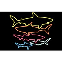 Retro 80s Shark Clothes Shark Party Sharks Bumper Sticker