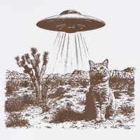 Retro 90s Western Vintage Ufo Cowboy Cat Wild West Kitten Baby Bodysuit