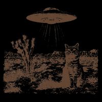 Retro 90s Western Vintage Ufo Cowboy Cat Wild West Kitten Gift T-Shirt