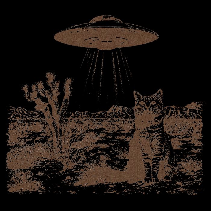 Retro 90s Western Vintage Ufo Cowboy Cat Wild West Kitten Gift T-Shirt