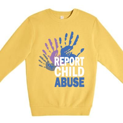 Reporting Abuse Awareness Safety Cool Gift Premium Crewneck Sweatshirt