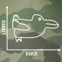 Rabbit Duck Diagram Chart Legacy Tie Dye Trucker Hat