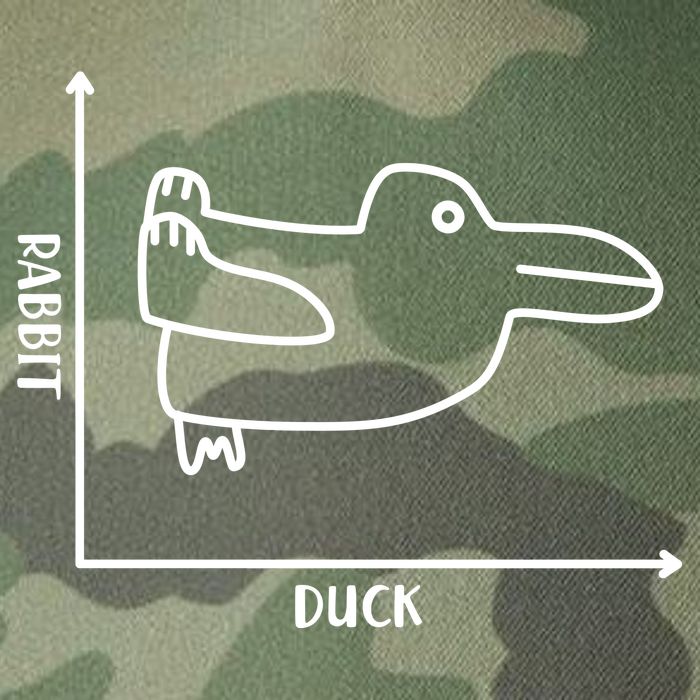 Rabbit Duck Diagram Chart Legacy Tie Dye Trucker Hat