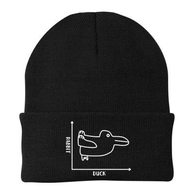 Rabbit Duck Diagram Chart Beanie