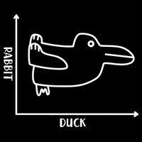 Rabbit Duck Diagram Chart Flatbill Hat