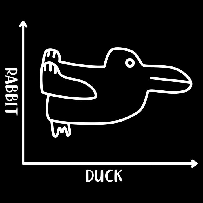 Rabbit Duck Diagram Chart Flatbill Hat