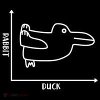 Rabbit Duck Diagram Chart Crop Top
