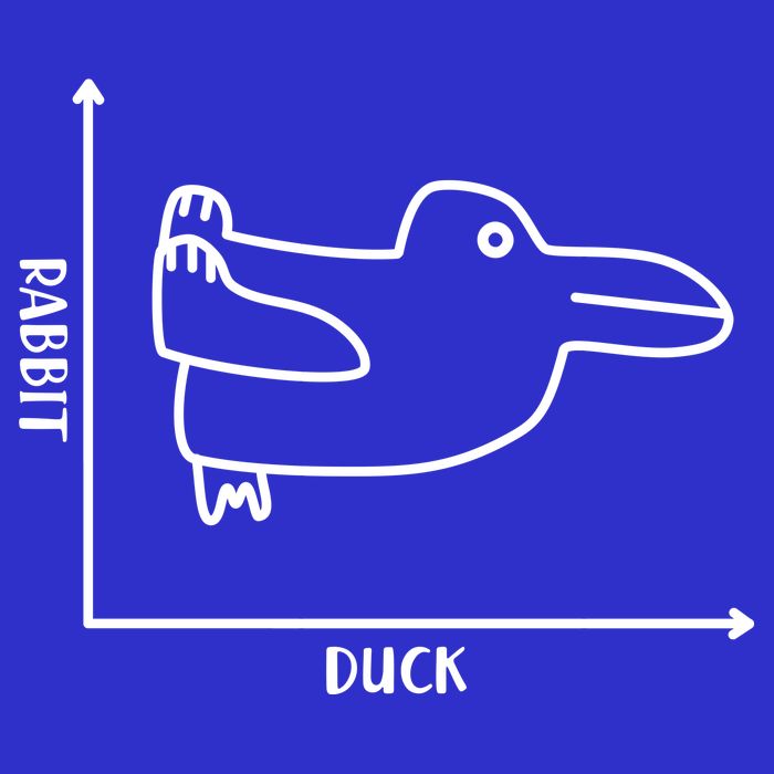 Rabbit Duck Diagram Chart Mousepad