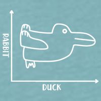 Rabbit Duck Diagram Chart Sueded Cloud Jersey T-Shirt