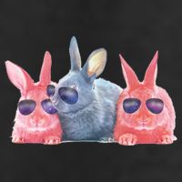 Rabbit Galaxy Cool Garment-Dyed Fleece Hoodie