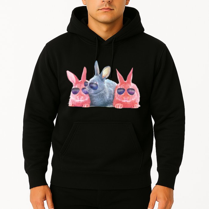Rabbit Galaxy Cool Hoodie