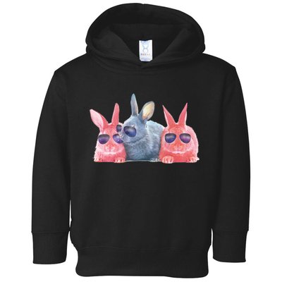 Rabbit Galaxy Cool Toddler Hoodie