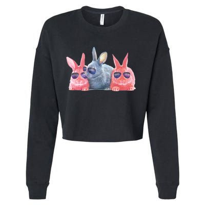 Rabbit Galaxy Cool Cropped Pullover Crew