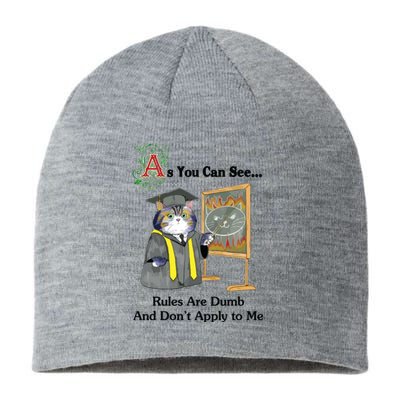 Rules Are Dumb Sustainable Beanie