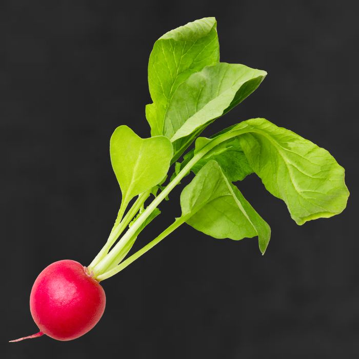Radish Cool Comfort Performance Bucket Hat