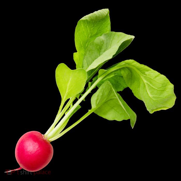 Radish 16 in Basic Backpack