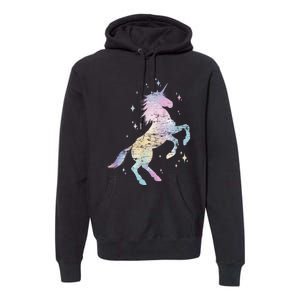 Rainbow Animal Fairy Unicorn Lover Girls Gift Unicorn Premium Hoodie