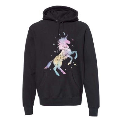 Rainbow Animal Fairy Unicorn Lover Girls Gift Unicorn Premium Hoodie