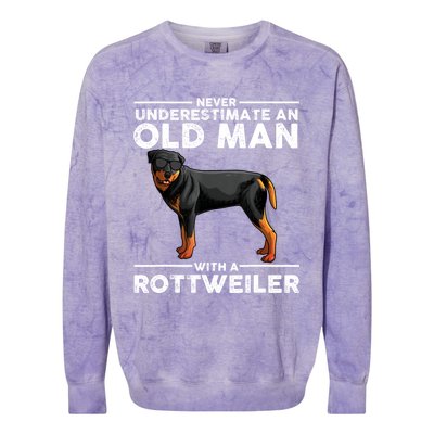 Rottweiler Art For Dad Grandpa Rottie Lover Rottweiler Colorblast Crewneck Sweatshirt