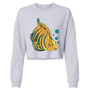 Royal Angel Fish Cropped Pullover Crew