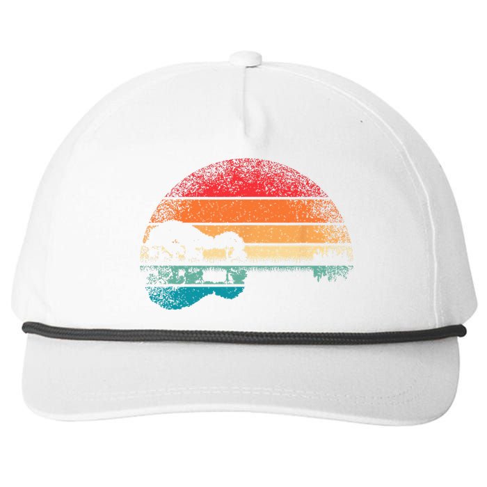 Retro Acoustic Guitar Lake Sunset Guitarist Music Lover Rock Snapback Five-Panel Rope Hat