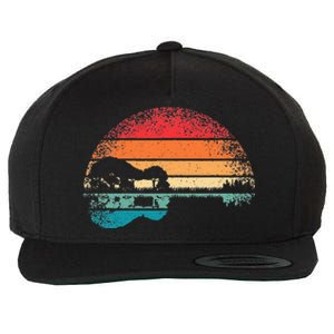 Retro Acoustic Guitar Lake Sunset Guitarist Music Lover Wool Snapback Cap