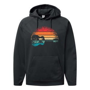 Retro Acoustic Guitar Lake Sunset Guitarist Music Performance Fleece Hoodie