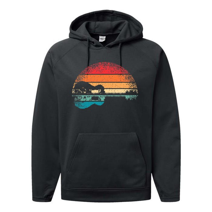 Retro Acoustic Guitar Lake Sunset Guitarist Music Performance Fleece Hoodie