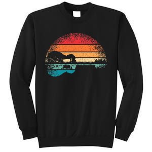 Retro Acoustic Guitar Lake Sunset Guitarist Music Sweatshirt