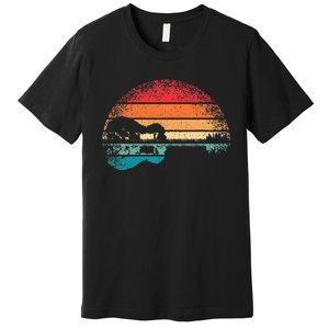 Retro Acoustic Guitar Lake Sunset Guitarist Music Premium T-Shirt