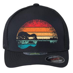 Retro Acoustic Guitar Lake Sunset Guitarist Music Lover Rock Flexfit Unipanel Trucker Cap