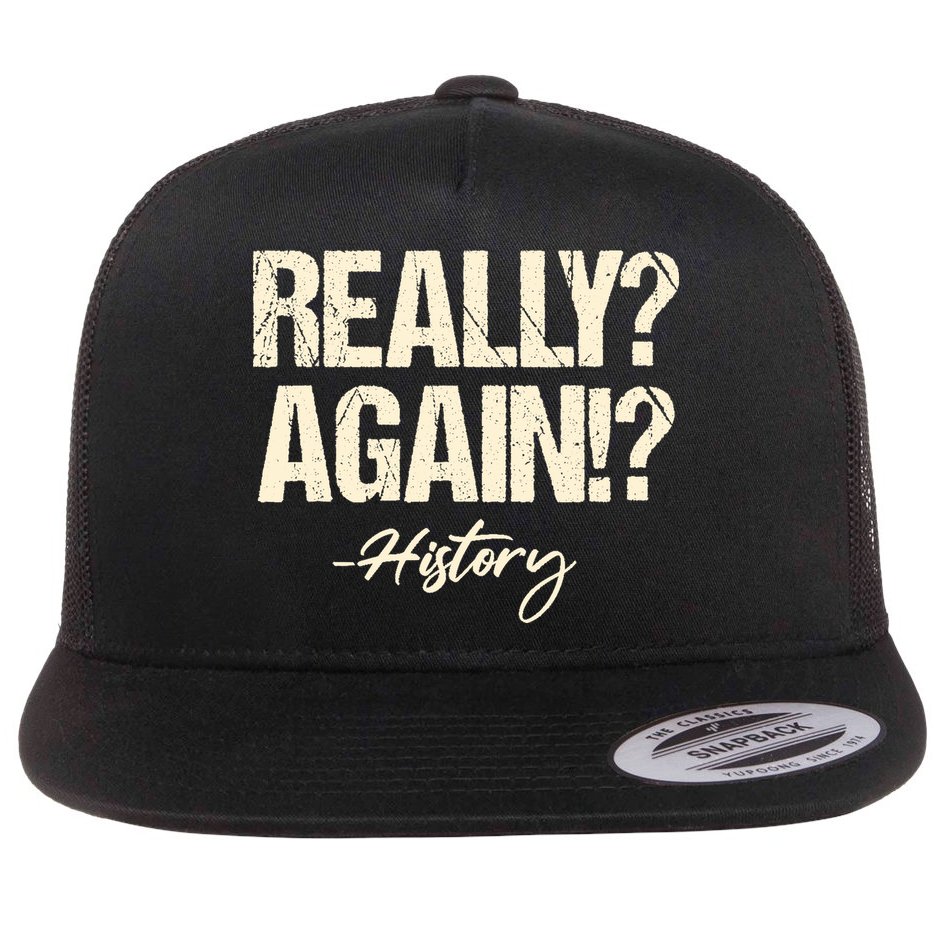 Really? Again!? History Teacher Historical Book Student Flat Bill Trucker Hat