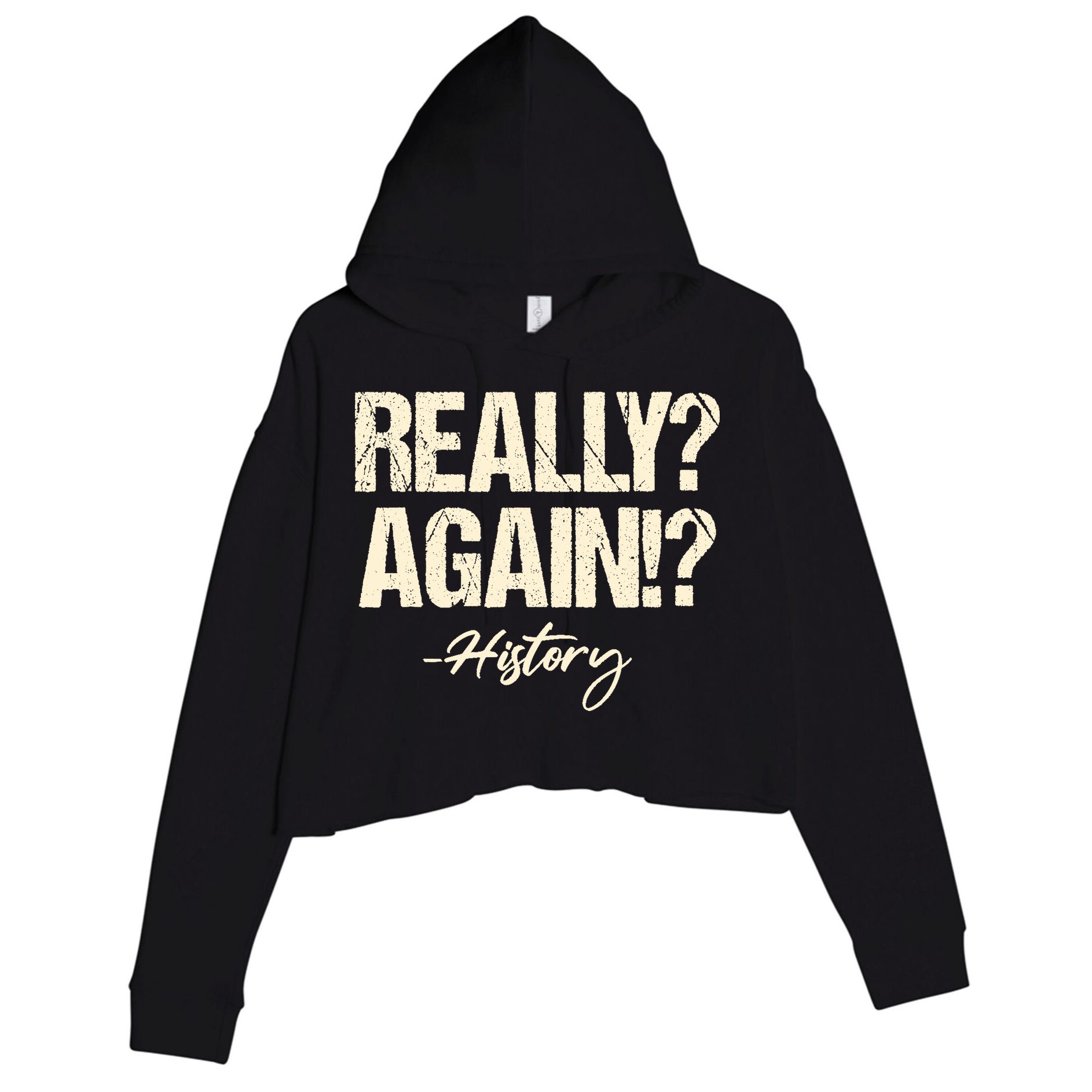 Really? Again!? History Teacher Historical Book Student Crop Fleece Hoodie