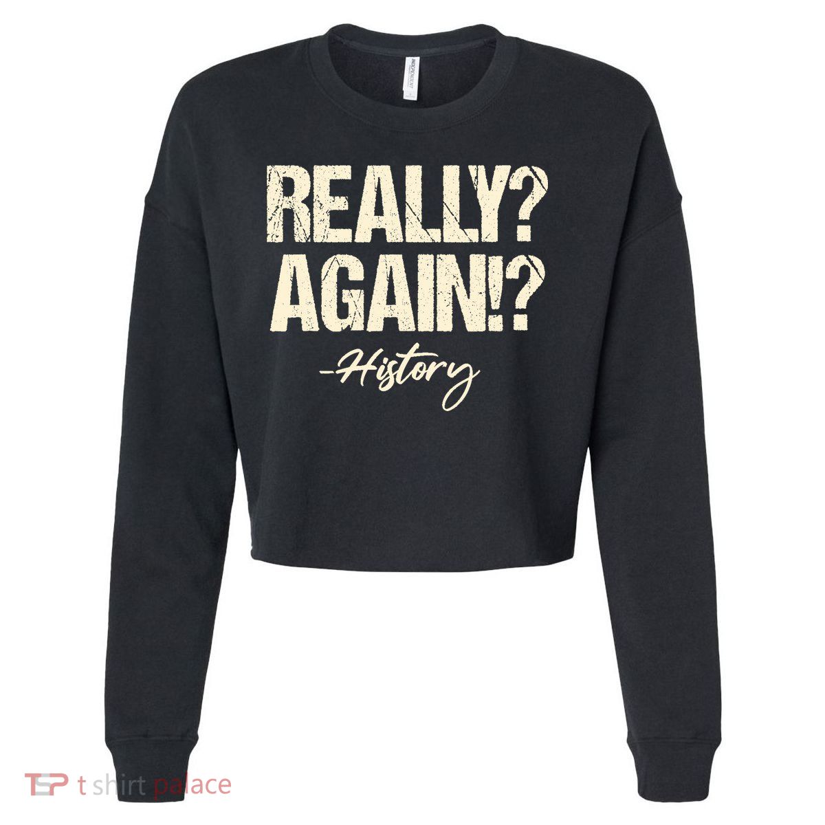 Really? Again!? History Teacher Historical Book Student Cropped Pullover Crew